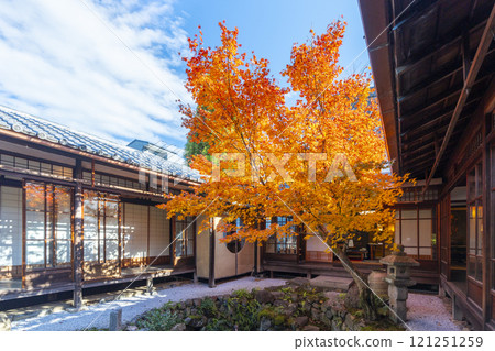 Autumn in Kyoto: Nishijin Koshoji Temple - Fall basin surrounded by autumn leaves 121251259