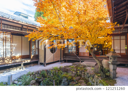 京都的秋天，西陣興勝寺，秋葉覆蓋 121251260