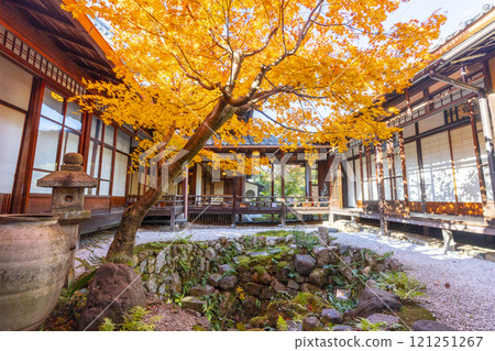 Autumn in Kyoto: Nishijin Koshoji Temple - Fall basin surrounded by autumn leaves Autumn in Kyoto: Nishijin Koshoji Temple - Fall basin surrounded by autumn leaves 121251267