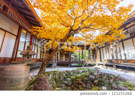 京都的秋天,西陣興勝寺,秋葉覆蓋 京都的秋天,西陣興勝寺,秋葉覆蓋 121251268