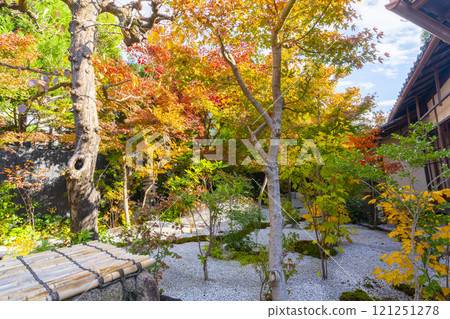 京都的秋天,西陣興勝寺,雲龍庵前的花園 京都的秋天,西陣興勝寺,雲龍庵前的花園 121251278