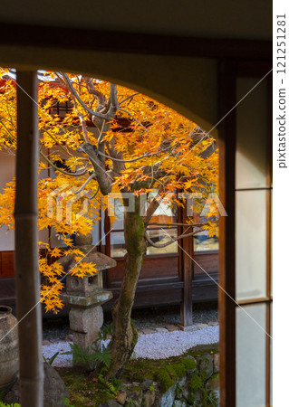 京都的秋天，西陣興勝寺，秋葉覆蓋 121251281