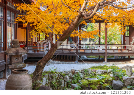 京都的秋天，西陣興勝寺，秋葉覆蓋 121251293