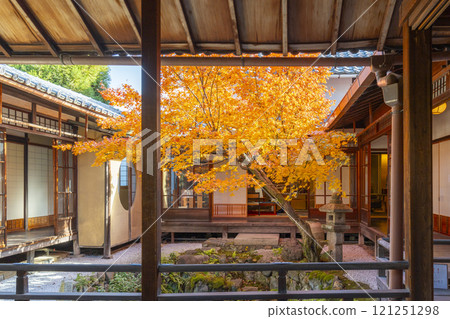 Autumn in Kyoto: Nishijin Koshoji Temple - Fall basin surrounded by autumn leaves Autumn in Kyoto: Nishijin Koshoji Temple - Fall basin surrounded by autumn leaves 121251298