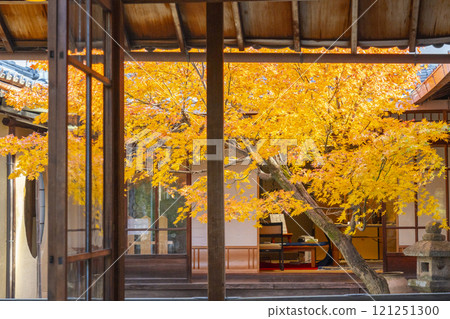 京都的秋天，西陣興勝寺，秋葉覆蓋 121251300