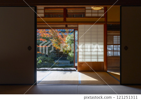Autumn in Kyoto: Nishijin Koshoji Temple, garden seen from Unryoan 121251311