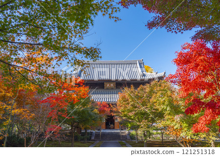 Autumn in Kyoto: Nishijin Koshoji Temple, main hall surrounded by autumn leaves 121251318