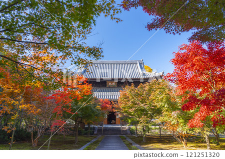 秋天的京都，西陣興勝寺，正殿被秋葉覆蓋 121251320