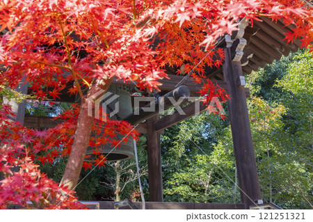 秋天的京都，西陣興勝寺，秋葉覆蓋的鐘樓 121251321