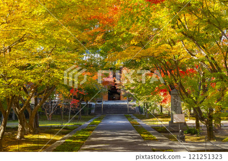 秋天的京都，西陣興勝寺，正殿被秋葉覆蓋 121251323