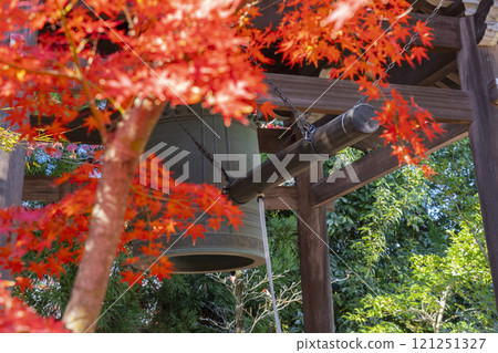 Autumn in Kyoto: Nishijin Koshoji Temple, bell tower surrounded by autumn leaves 121251327