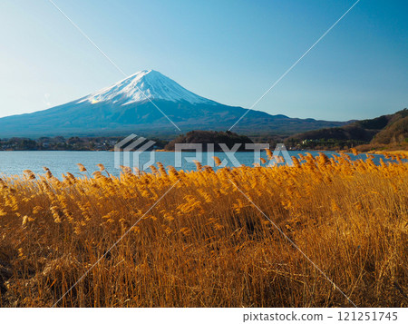 Mount Fuji as seen from Oishi Park on Lake Kawaguchi on January 1, 2024 Mount Fuji as seen from Oishi Park on Lake Kawaguchi on January 1, 2024 121251745
