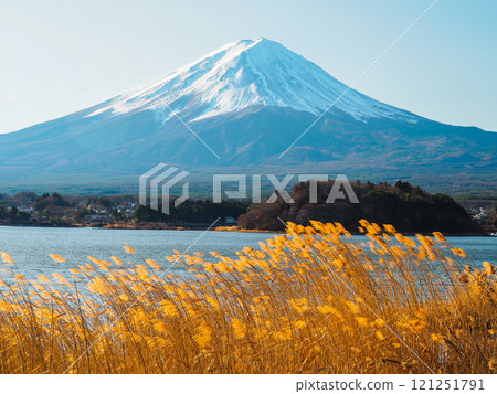 Mount Fuji as seen from Oishi Park on Lake Kawaguchi on January 1, 2024 Mount Fuji as seen from Oishi Park on Lake Kawaguchi on January 1, 2024 121251791