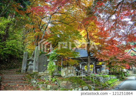 Autumn in Chinzoji Temple 121251864