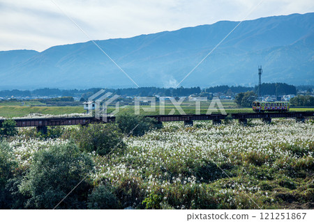 Flower Nagai Line 121251867