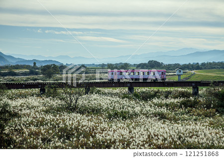 Flower Nagai Line Flower Nagai Line 121251868