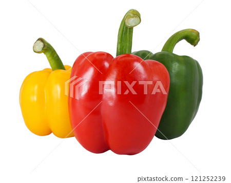 Colorful Bell Peppers Trio for Healthy Cooking and Fresh Food Concepts. Ideal for promoting healthy eating, food blogs, grocery ads, and culinary visuals Colorful Bell Peppers Trio for Healthy Cooking and Fresh Food Concepts. Ideal for promoting healthy eating, food blogs, grocery ads, and culinary visuals 121252239