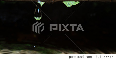 Action shot of spring water falling 121253657