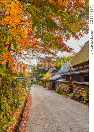 秋天的京都市 Oksaga Toriimoto 街景 121254143