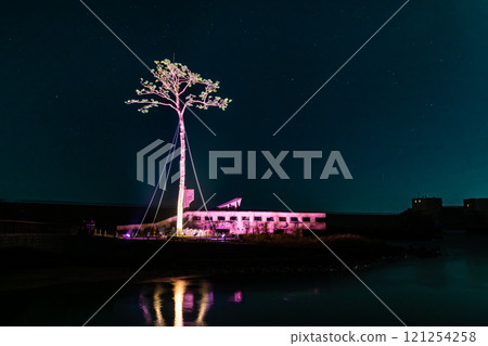 岩手三陸，一棵被燈光照亮的神奇松樹 121254258