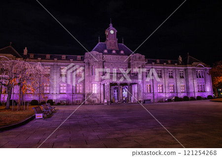 Bunshokan Light-up 121254268