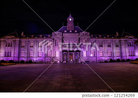 Bunshokan Light-up 121254269