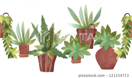 Succulents in pots and baskets. Home gardening as a hobby. Seamless border for interior design or web design Succulents in pots and baskets. Home gardening as a hobby. Seamless border for interior design or web design 121254713