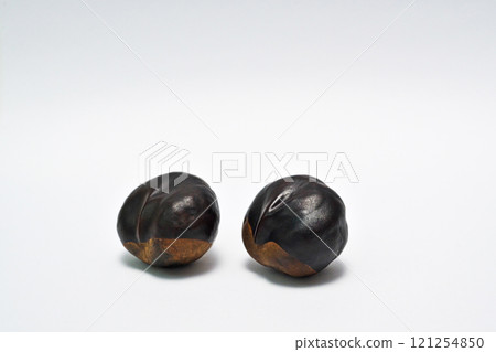 七葉樹(白色背景) 七葉樹(白色背景) 121254850