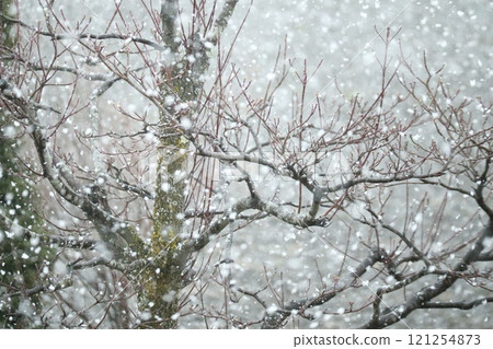 下著大雪的場景 121254873