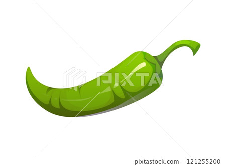 Cartoon green chili pepper. Isolated vector whole guindilla jalapeno Mexican spicy food, culinary ingredient. Raw, sleek and elongated pod with curve tip, radiates heat with its smooth glossy surface 121255200
