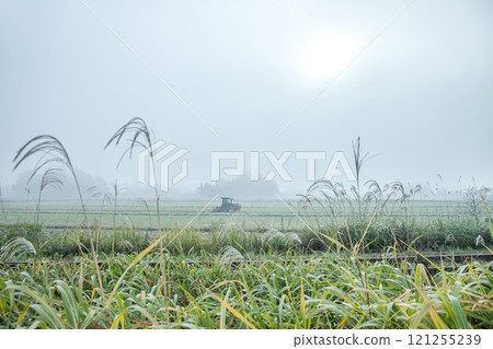 Fog morning 121255239