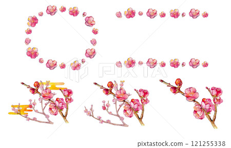 Watercolor plum blossom frame 121255338
