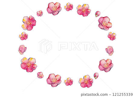 Watercolor plum blossom frame material 121255339
