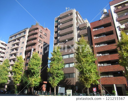 Near Honkomagome 5-chome 121255567