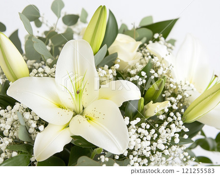 百合花 百合花 121255583