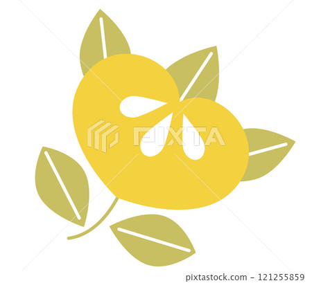 立花簡單可愛插畫 立花簡單可愛插畫 121255859