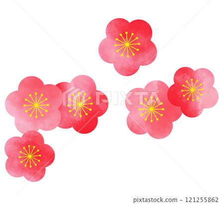 水彩畫梅花插圖 水彩畫梅花插圖 121255862