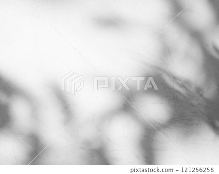 Shadow Background Effect Mockup Frame Abstract Technology Business Black Grey Shade Design blur Cement Wall Floor Minimal Empty Backdrop Overlay Light Nature Leaves Window White Template Summer. 121256258