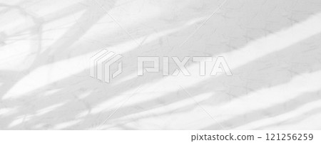 Shadow Background Effect Mockup Frame Abstract Technology Business Black Grey Shade Design blur Cement Wall Floor Minimal Empty Backdrop Overlay Light Nature Leaves Window White Template Summer. 121256259