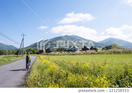Fresh greenery and early summer cycling image (Hiruzen Plateau) 121256553
