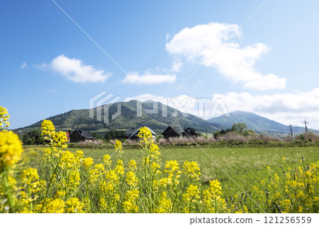 Fresh greenery and early summer cycling image (Hiruzen Plateau) 121256559