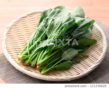 架子上超新鮮的菠菜 121256826