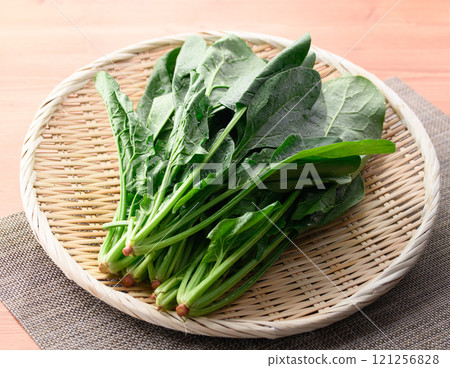 Extremely fresh spinach in a colander 121256828