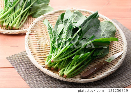 Extremely fresh spinach in a colander 121256829