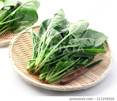 架子上的菠菜（白色背景） 121256920