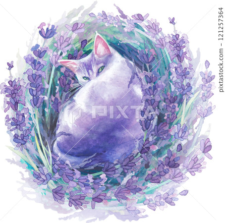 A cute watercolor cat curled up and resting in a lavender nest 121257364