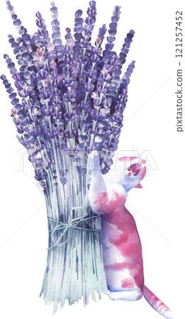 A cat loudly meowing while scratching its claws on a lavender bouquet 121257452
