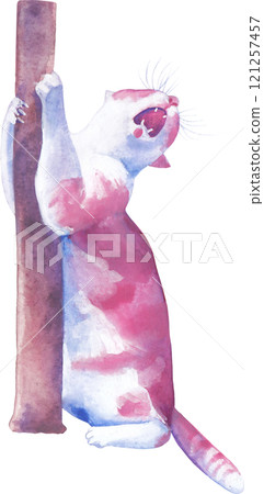 A cat loudly meowing while scratching its claws on a wooden post. A cat loudly meowing while scratching its claws on a wooden post. 121257457