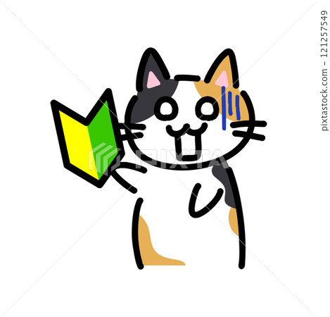 一隻持有初學者標記的震驚貓的手繪插圖 121257549