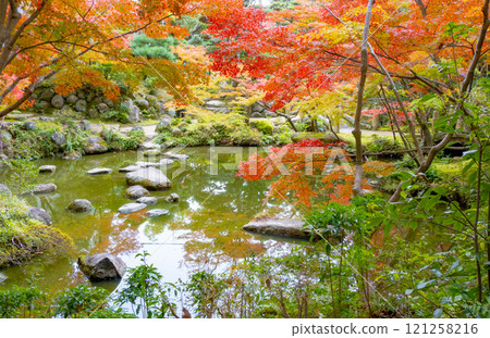 The beautiful autumn foliage of the Kobe Guest House and former Nishio residence in Suma Ward, Kobe City 121258216